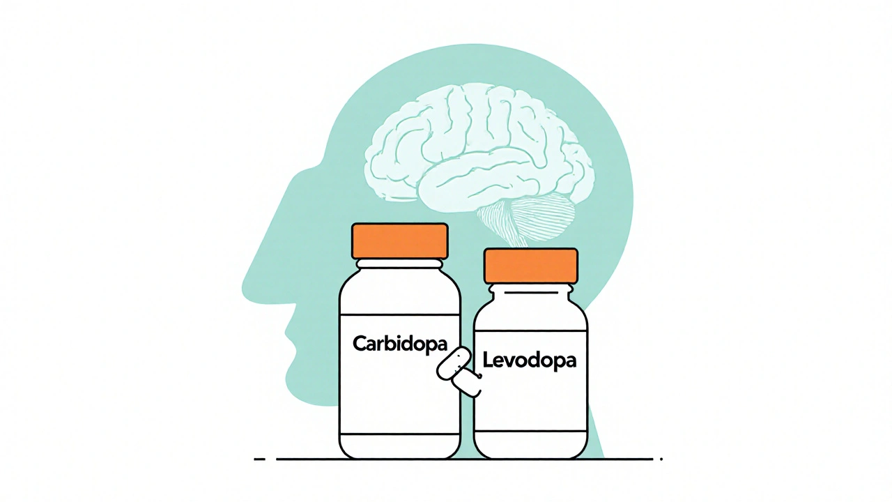 Carbidopa-Levodopa Drug Interactions: Essential Guide for Patients and Caregivers