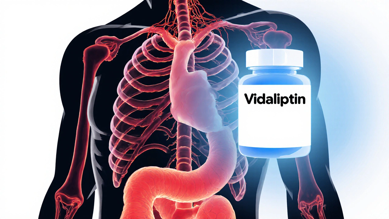 How Vidagliptin Reduces Inflammation in Diabetes