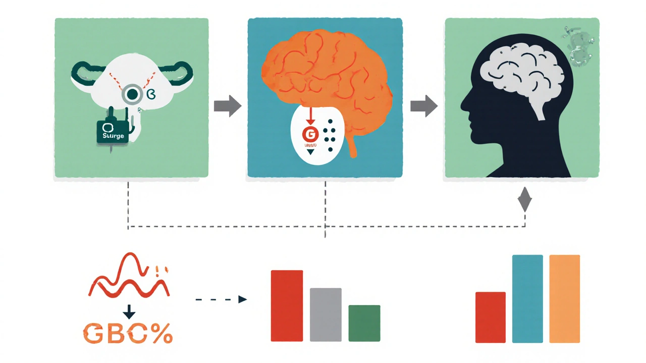 Three panels showing hormonal pathways and a simple chart of study percentages.