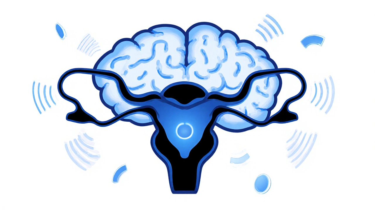 Minimalist MRI scan of brain and prostate with sharp tumor outlines in blue tones.