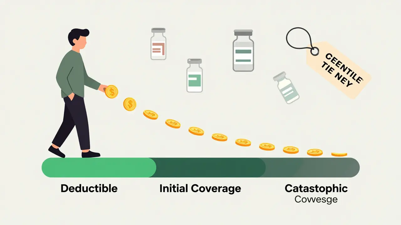 Three-phase progress bar showing reduced drug costs until <h2>Choosing the Right Plan</h2> out-of-pocket.