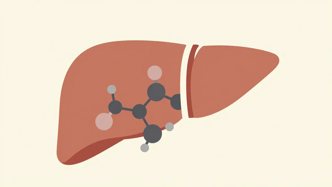 Theophylline Clearance: How Medications Slow Metabolism and Raise Toxicity Risks