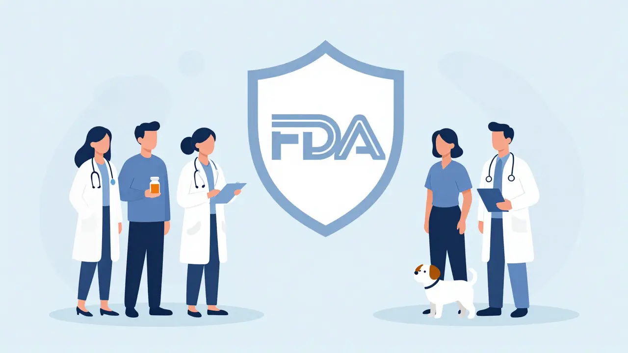 How to Report a Suspected Adverse Drug Reaction to the FDA: A Step-by-Step Guide